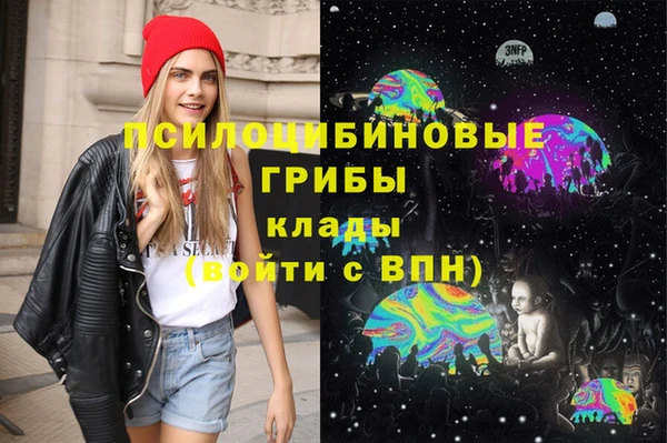 МДПВ Алексин