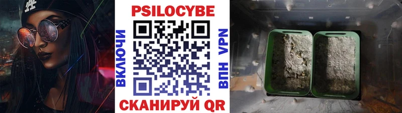 Псилоцибиновые грибы мицелий Ермолино