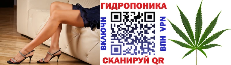 как найти   Ермолино  Конопля марихуана 